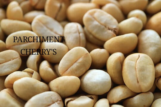 WhatsApp Image 2024-12-29 at 6.33.04 PM