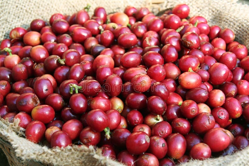 WhatsApp Image 2024-12-29 at 6.33.06 PM